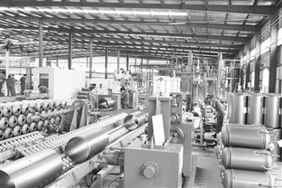 創(chuàng)新驅(qū)動(dòng)，綠色未來(lái) 探訪(fǎng)邯鄲工業(yè)園區(qū)飛翔新能源科技股份有限公司