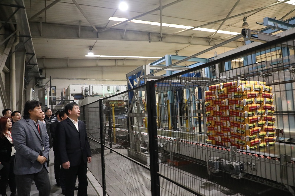 美巢集團股份公司 風能發電領域的綠色先鋒